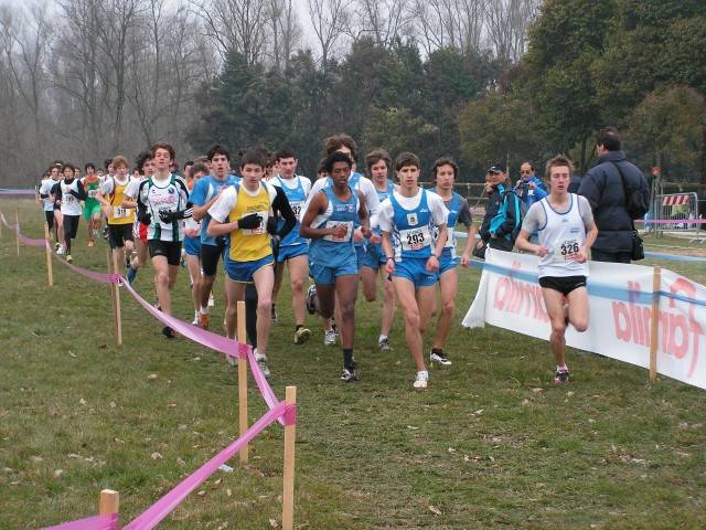 curtarolomagoga.jpg
