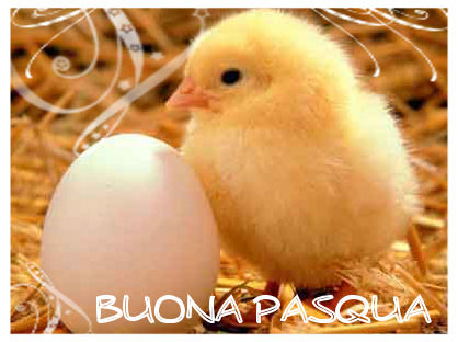 buonapasqua.jpg