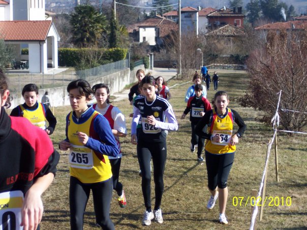 vv-bernardi-al.jpg