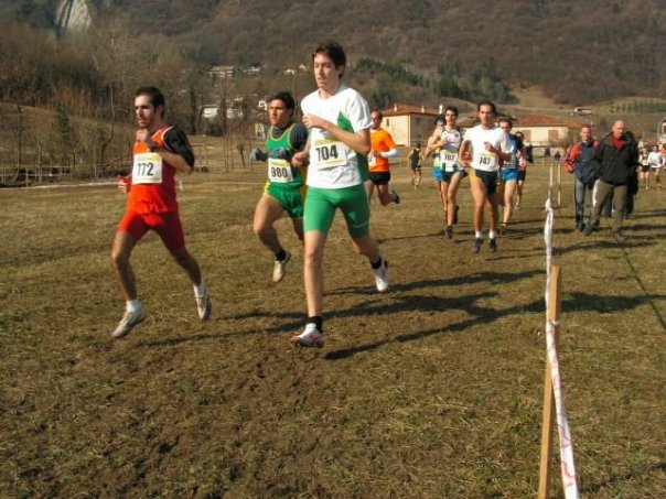 vv-gallina-l.jpg