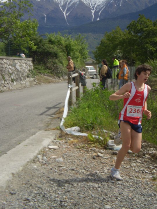 losine-mde-nardi.jpg
