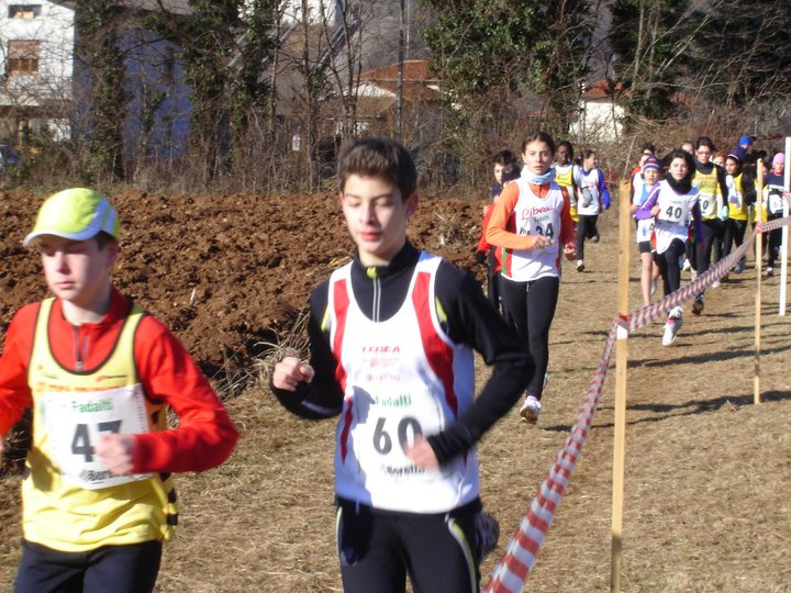 arpioni-davide.bmp