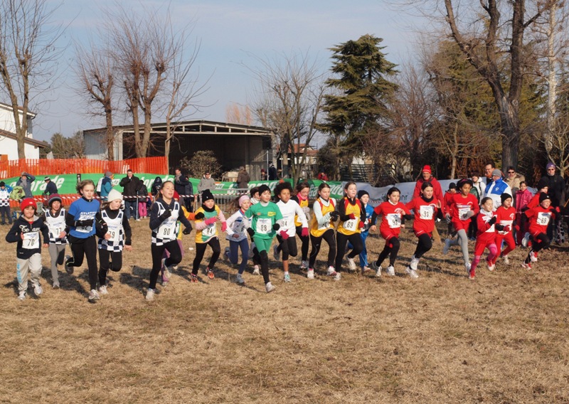 b-cross-san-b2012-014.jpg