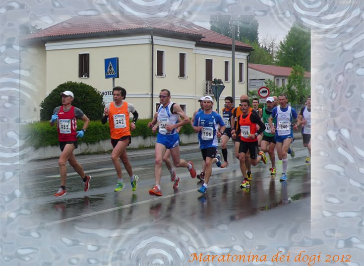 cenedese-dogi-12.jpg