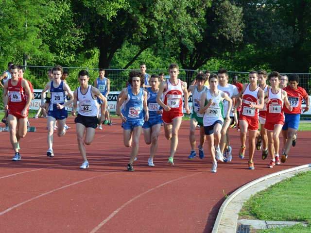 e-cds-treviso-2012-241.jpg