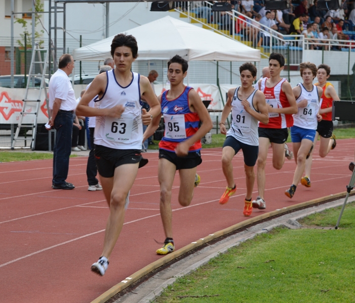 f-t-fallai-2012-056.jpg