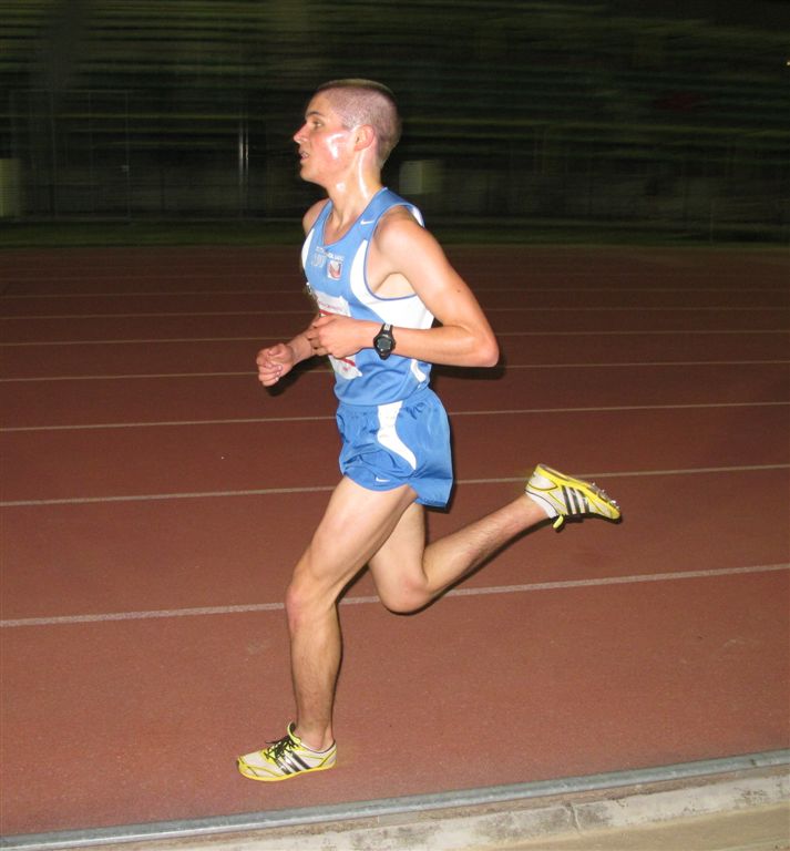 stival-mogliano.jpg