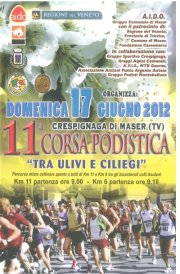 tra-ulivi-e-ciliegi.jpg