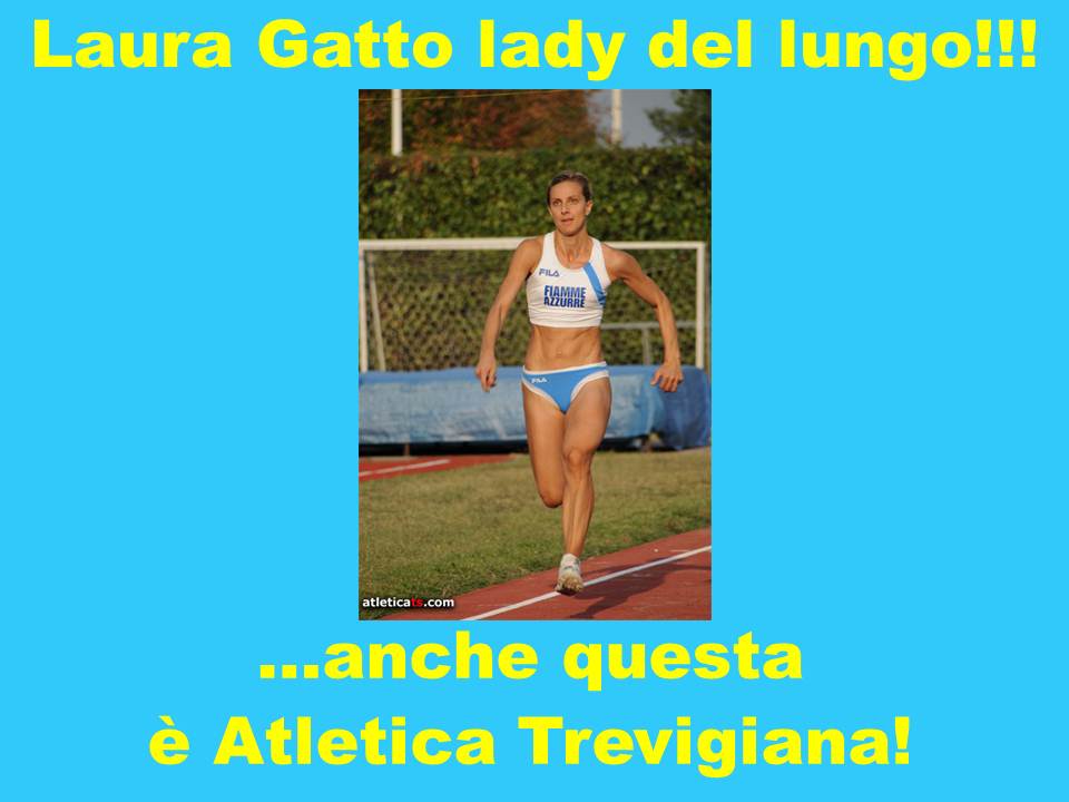aqat-gatto.jpg