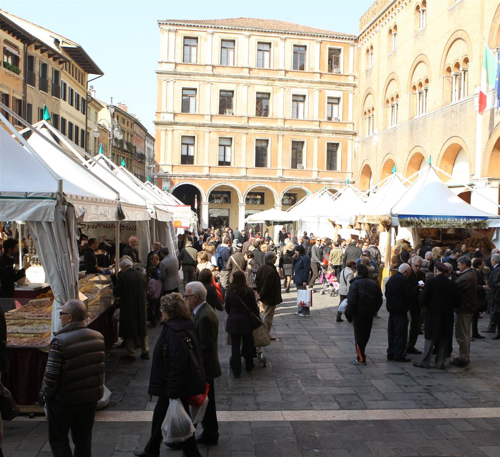 tm12_expo-natura-in-piazza-dei-signorib.jpg