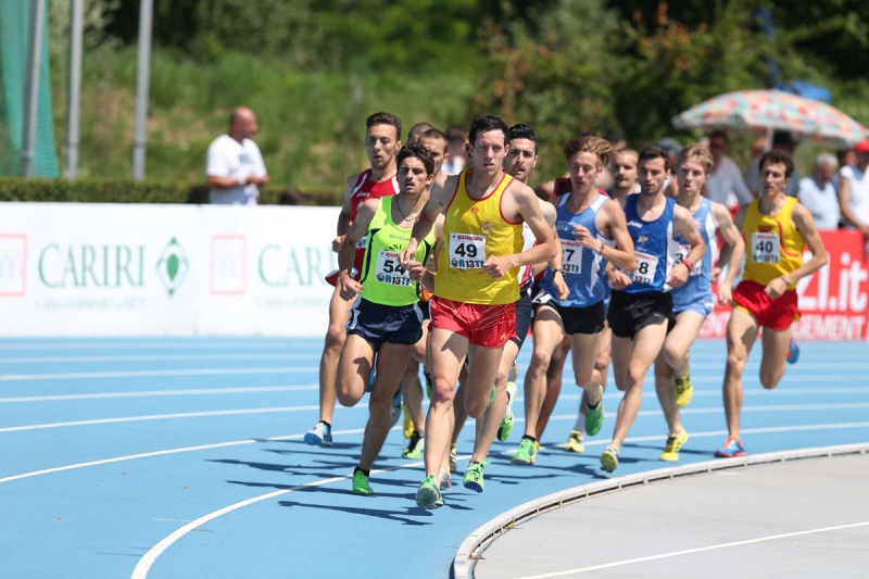 rieti693bidogia-stival.jpg