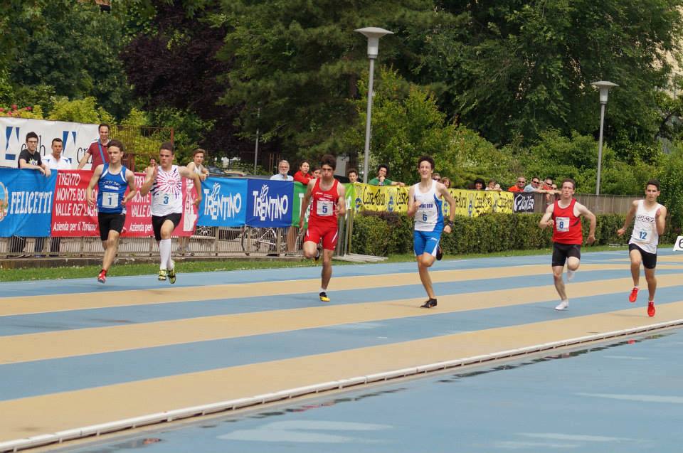 tn-favero.jpg