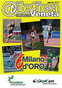 avccopertina.jpg