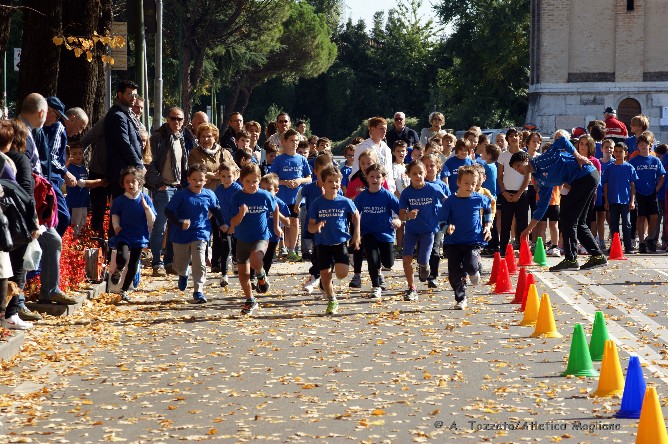 mogliano-1.jpg