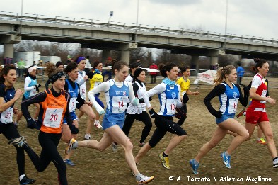 bernasconi-volpiano.jpg
