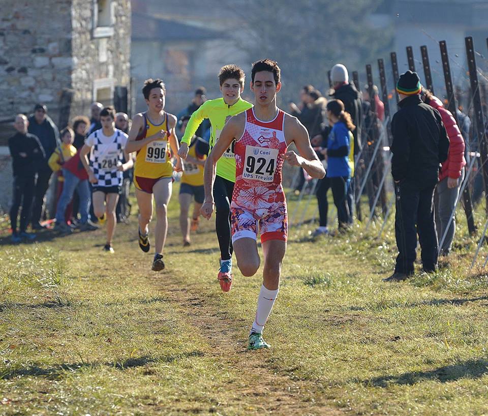 spinazze-grotto.jpg