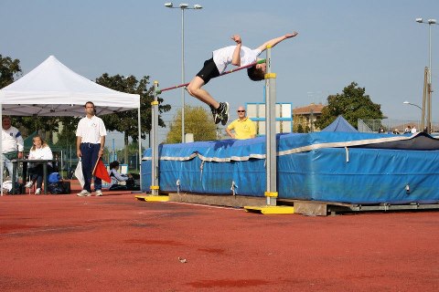 bortoluzzi-f.jpg