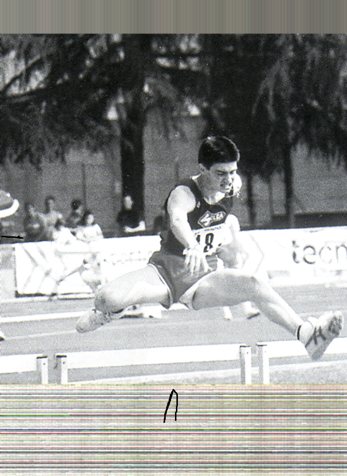 bischer.bmp