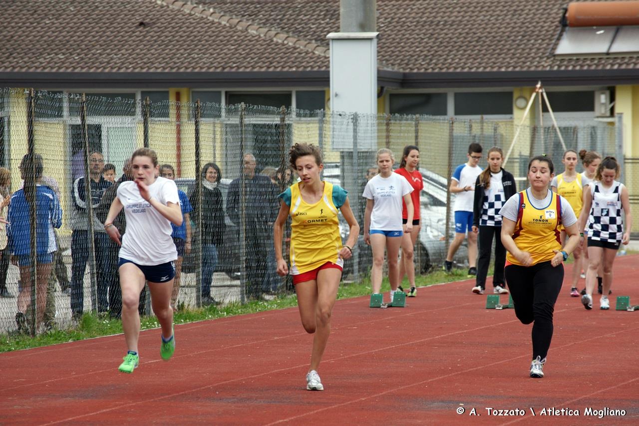 gallo-veronica-vill.jpg