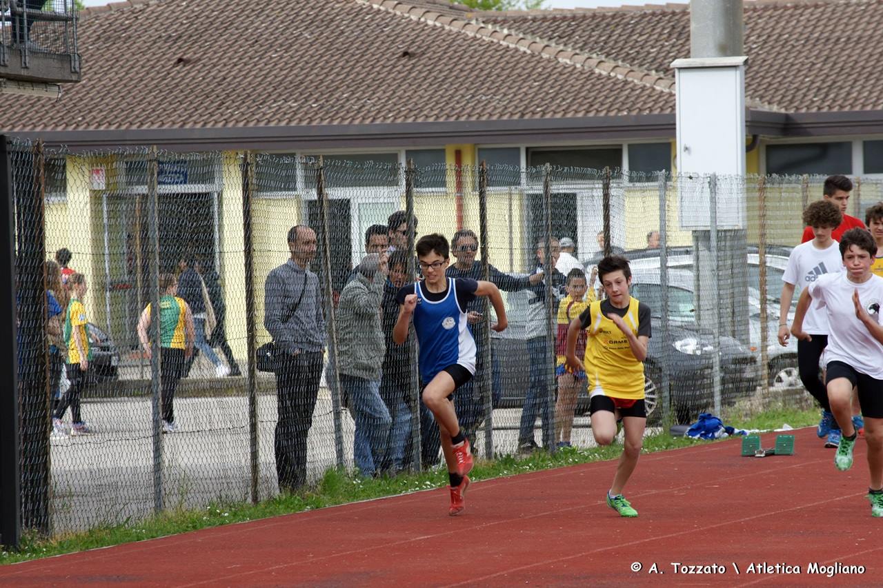 villorba-2.jpg