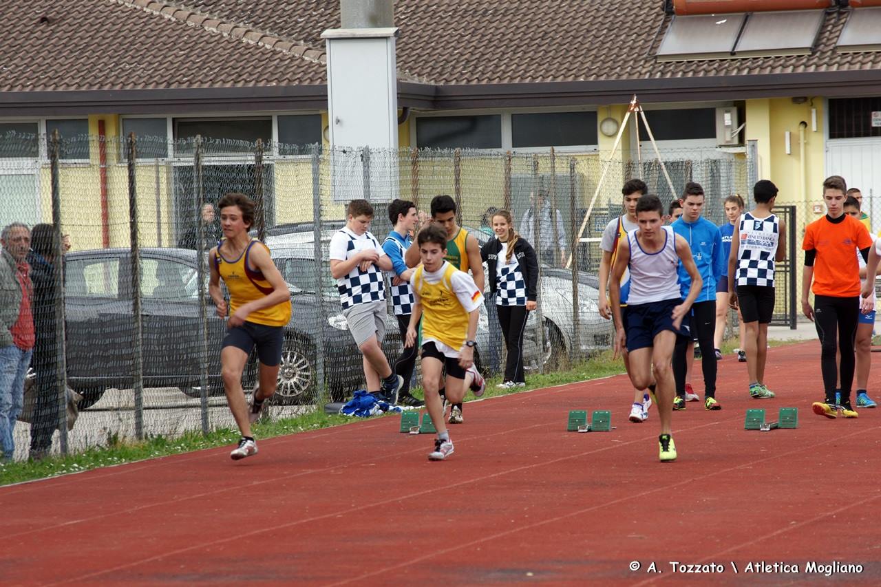 villorba-3.jpg