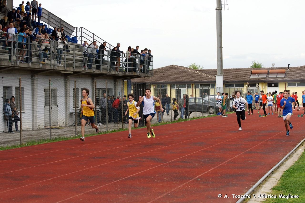 villorba-4.jpg