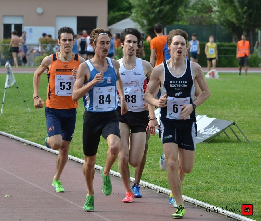 bidogia-800m-vi.jpg