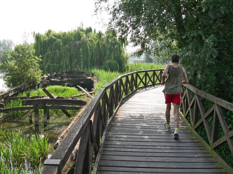 treviso_atleta-nel-parco-del-sile.jpg