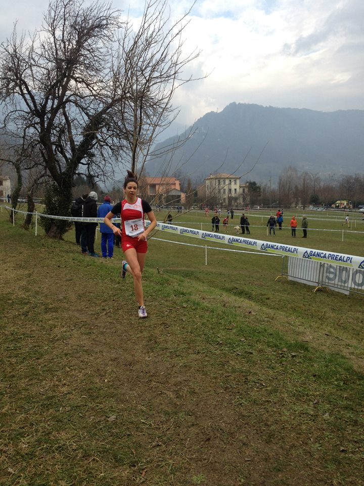 colbertaldo-vv-15.jpg