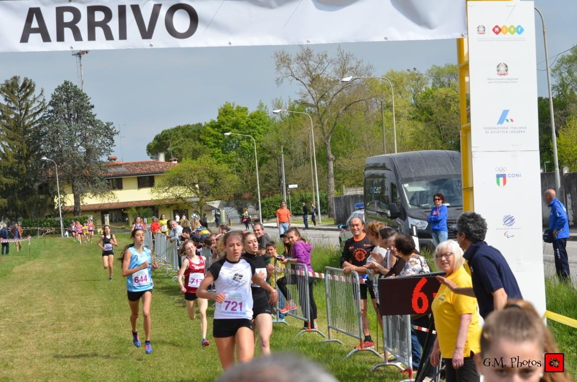nikol-arrivo-stud.jpg