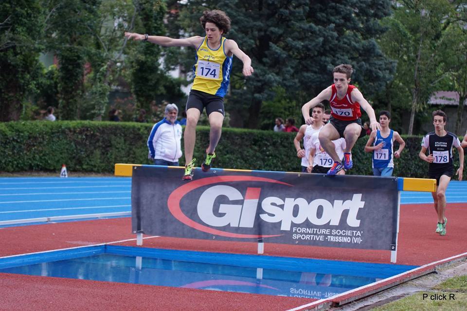 gatto-g-brixia.jpg