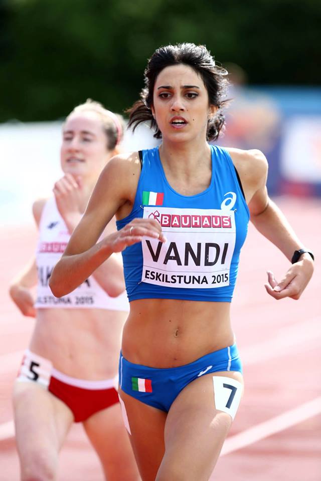 vandi-19.jpg